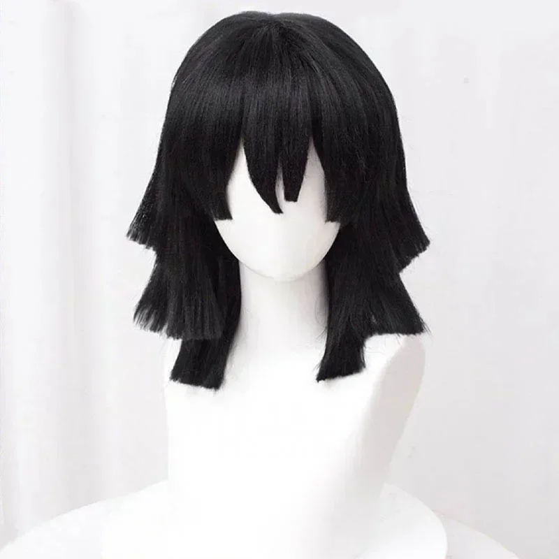 2026 High Quality Iguro Obanai - Cosplay Anime Black Hair review and price
