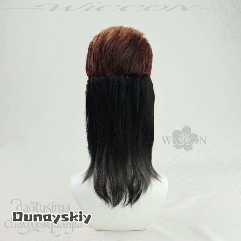 Dream ZS*/Anime Danganronnaaa  - Cosplay Anime Black Hair review and price