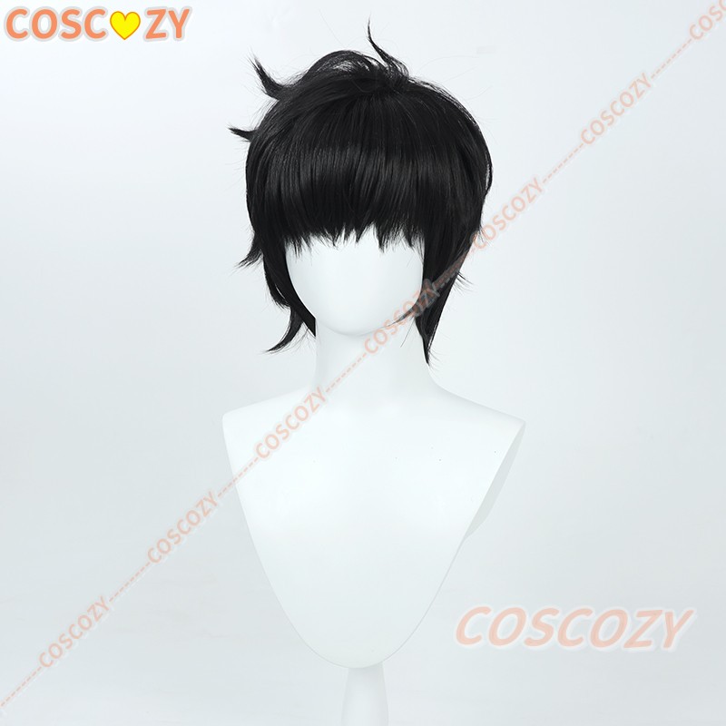 Sung Jinwoo Cosplay Wig from A - Cosplay Anime Solo review and price